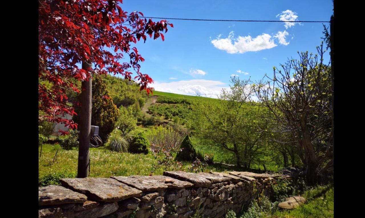 Agriturismo Locanda Dei Cacciatori Dogliani Exteriér fotografie